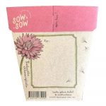 Everlasting Daisy Seeds Gift Packet Back