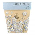 Forget Me Not Gift Of Seeds Packet