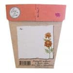 Secret Garden Seeds Gift Packet Back