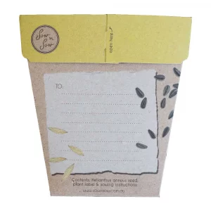Sunflower Seed Gift Packet Backet