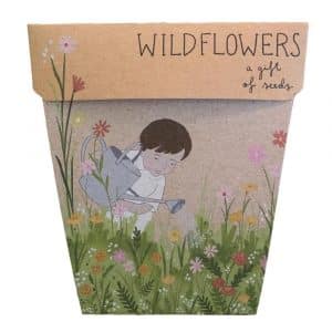 Wildflowers Seeds Gift Packet Front