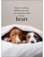 Hold In our Heart Sympathy Card Pet Loss