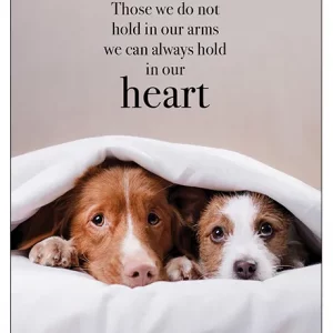 Hold In our Heart Sympathy Card Pet Loss