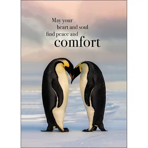 Peace and Comfort Sympathy Card