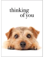 Thinking Of You Sympathy Card Pet Loss