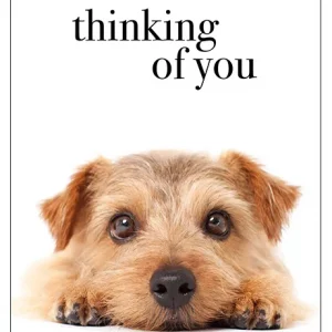 Thinking Of You Sympathy Card Pet Loss