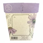 Swan River Daisy Seeds Gift Packet Back