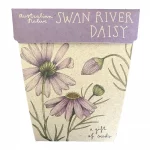 Swan River Daisy Seeds Gift Packet