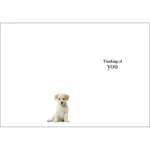 Those We Love Sympathy Card Inside