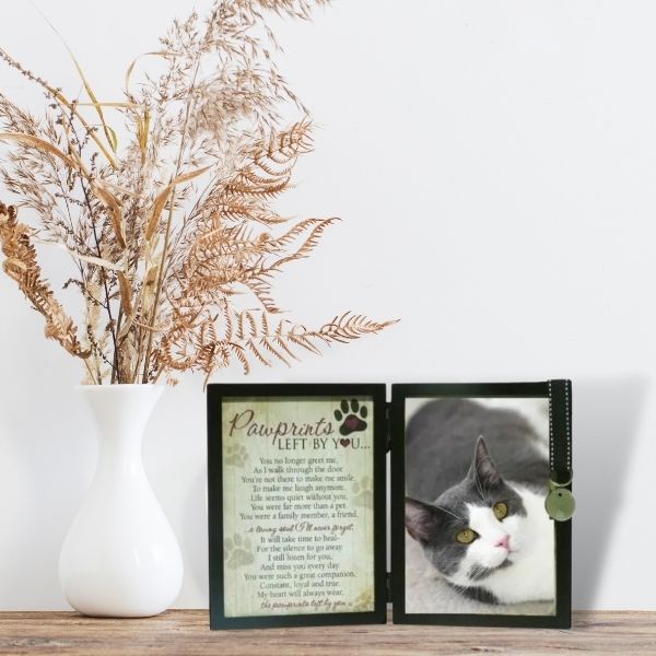 Pets Remembered Cat Loss
