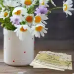 Swan River Daisy Seeded Memorial Cards x 6