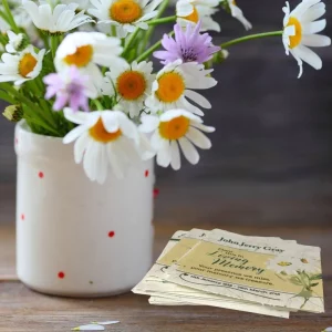 Swan River Daisy Memorial Seeded Cards x 6