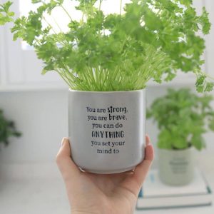 Brave Positive Pot With Plant