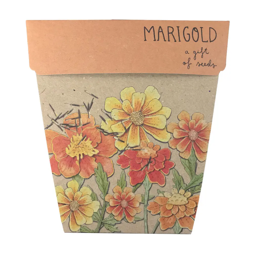 Marigold Gift Of Seeds Front