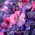 Sleep Essential Oil Shower Steamer Mood Photo