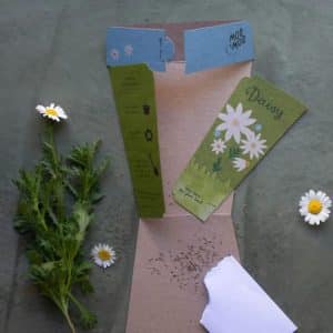 Daisy Seeds Gift Packet Contents