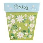 Daisy Seeds Gift Packet Front