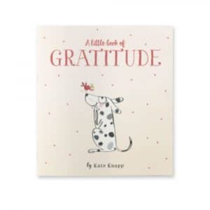 A Little Book Of Gratitude