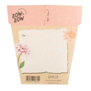 Dahlia Seeds Gift Packet Back