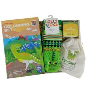 Childrens Dinosaur Activity Box Gift