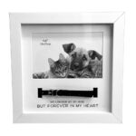 Pet Loss Photo Frame With Collar