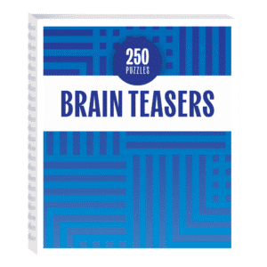 Brain Teasers Puzzle Book