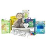Kids In The Wild Comfort & Activity Gift Box