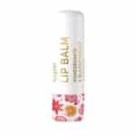 Christmas Collection Lip Balm - 9g