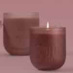 Blush Rose and Blackberry Mini Candle Lit