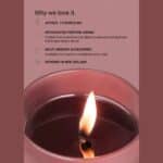 Blush Rose and Blackberry Mini Candle Why You'll Love It