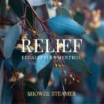 Relief Essential Oil Shower Steamer Ingredients