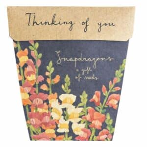 Thinking Of You Seeds Gift Packet featuring Australian-made Snapdragon seeds in eco-friendly recycled packaging, a thoughtful sympathy, friendship and get well gift that grows into beautiful flowers.