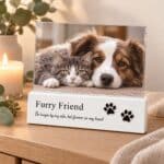 Forever In My Heart pet memorial frame displaying a beloved pet photograph beside a candle and eucalyptus