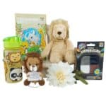 Kids Courage Gift Hamper with lion plush toys, zoo activities, Super Clay and drink bottle for children aged 4–8